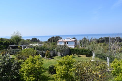 Sea view