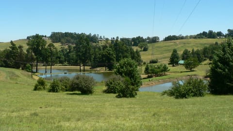 Lake view