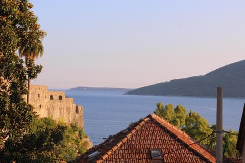 Apartments Iris Apartment in Montenegro