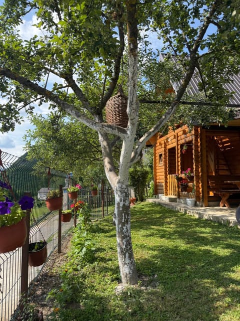 Property building, Natural landscape, Garden view, Mountain view