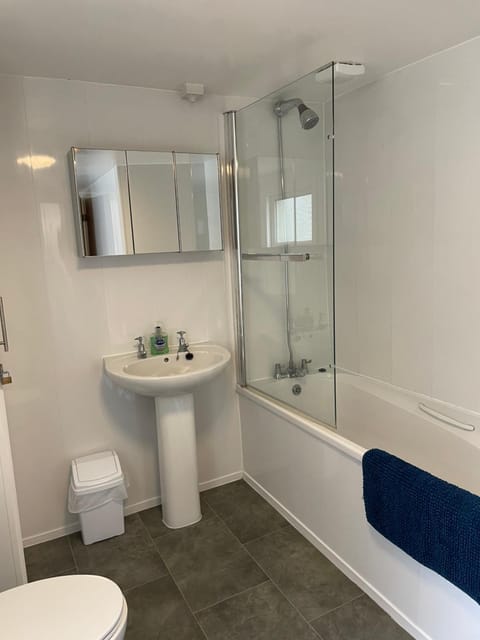 Shower, Toilet, Bathroom, Bath, towels