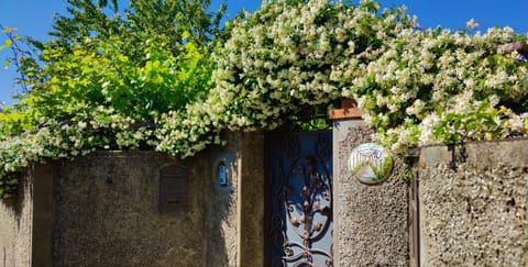 Facade/entrance, Spring, Summer