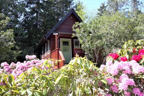 Great Cabin In Close To Walking Trails And Beaches - 13T Cabin in Ucluelet