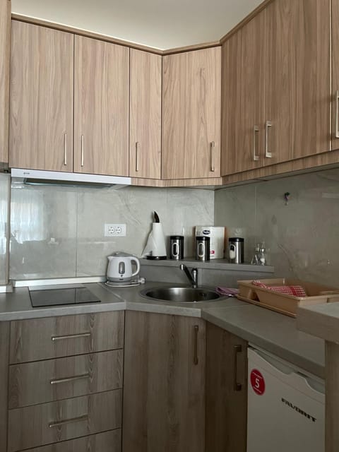 Apartmani Vlada Apartment in Zlatibor