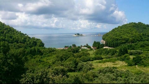 LUČICE - 2025 - PETROVAC, Prijevorac, BB - Apartment - OXANA - Stan 1 Apartment in Budva Municipality