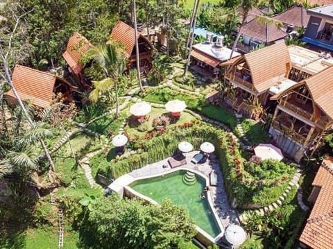 Property building, Day, Natural landscape, Garden, Garden view, Pool view, Swimming pool, sunbed