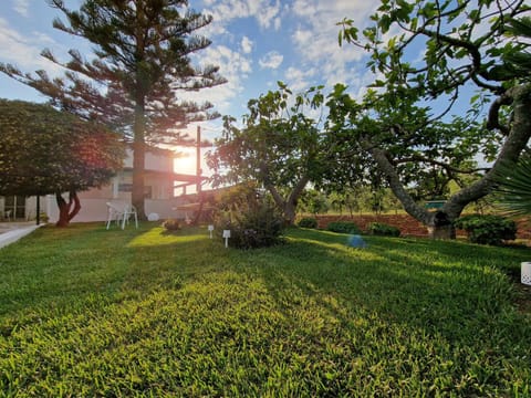 Natural landscape, Garden, Garden, Garden view, Sunrise, Sunset