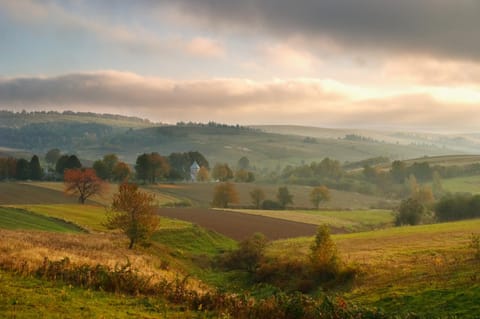 Natural landscape