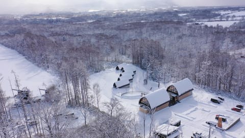 Natural landscape, Bird's eye view, Winter