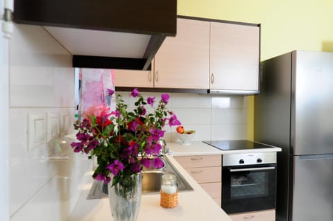 Kitchen or kitchenette, oven, stove