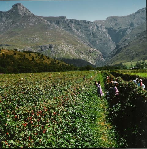 Staff, Natural landscape, Activities