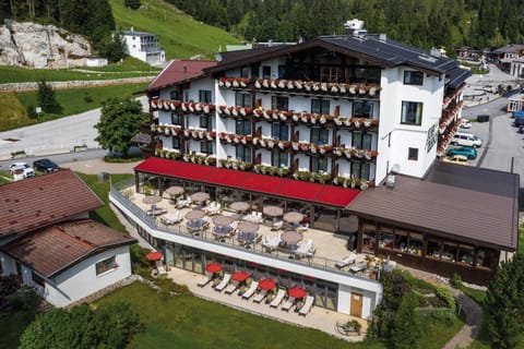 Bird's eye view, Summer