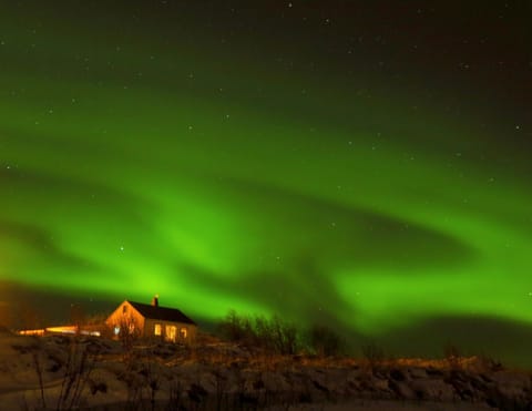 Night, Natural landscape