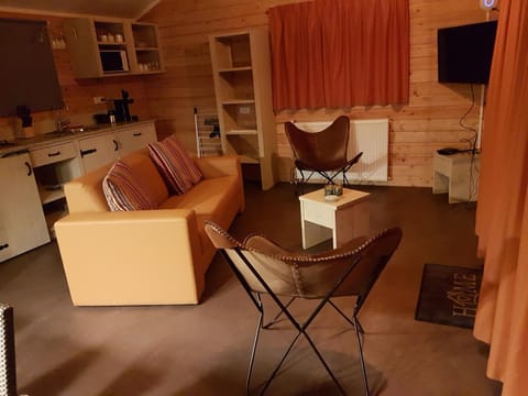 TV and multimedia, Coffee/tea facilities, Kitchen or kitchenette, Living room, Seating area