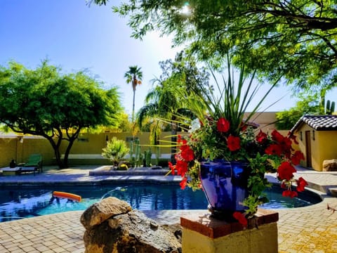 Pool view, Swimming pool, Swimming pool