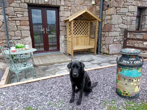 Conwy Pen Cefn Farm Holiday Farm Stay in Wales