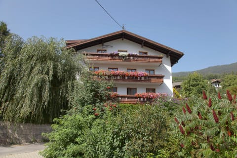 Property building, Summer