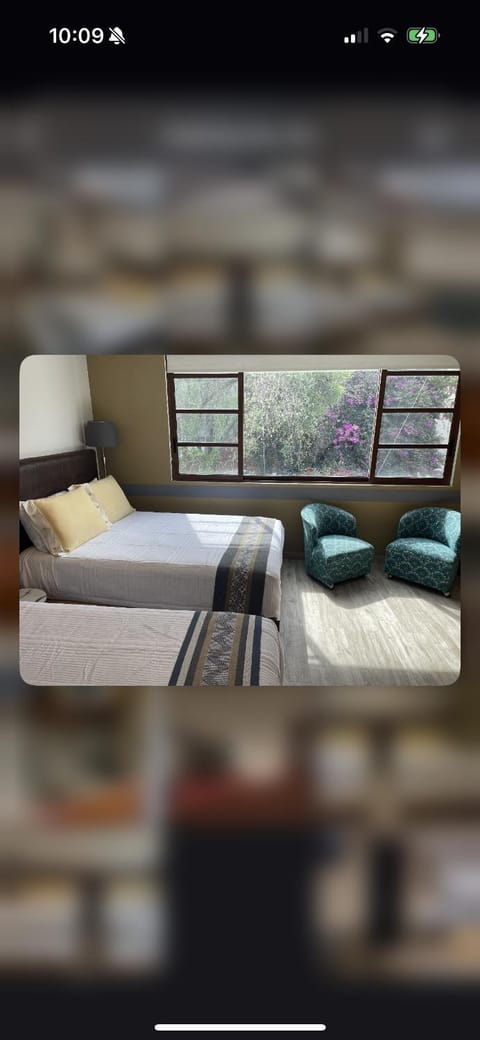 Bed, Living room, Photo of the whole room, Seating area, Bedroom