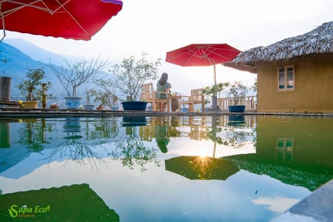 Garden, On site, Swimming pool