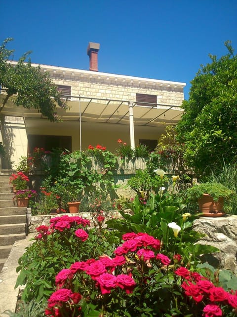 Facade/entrance, Garden view