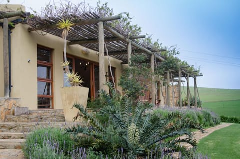 Rouxwil Country House Bed and Breakfast in Western Cape