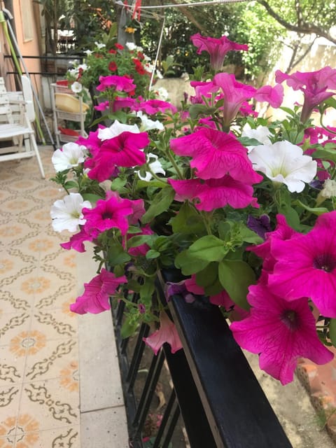 Simple and very nice Apartment in Olbia