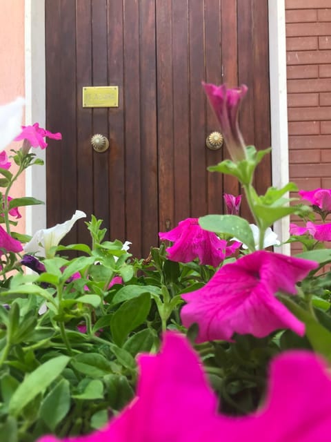 Simple and very nice Apartment in Olbia