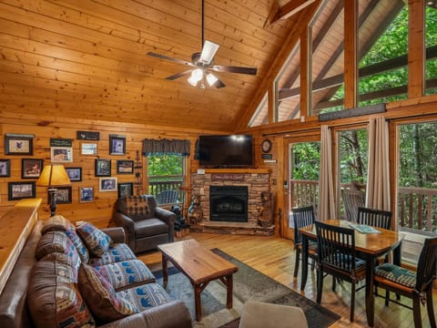 Natural landscape, TV and multimedia, Living room, Seating area, Dining area, fireplace, furniture