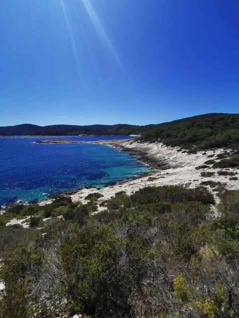 Apartments D&N Apartment in Vis