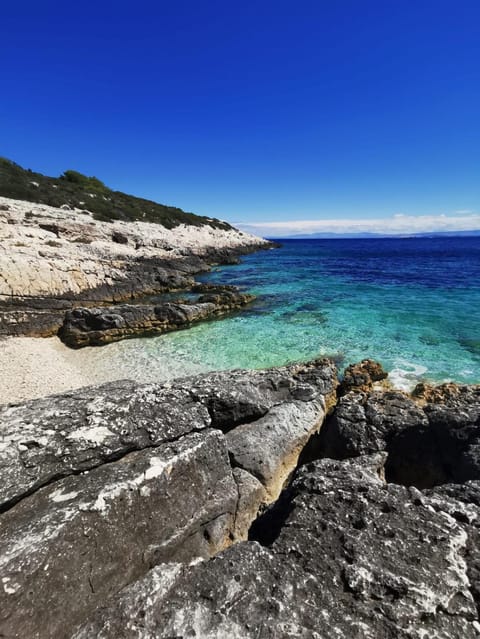 Apartments D&N Apartment in Vis