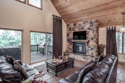 Natural landscape, TV and multimedia, Balcony/Terrace, Living room, fireplace, furniture