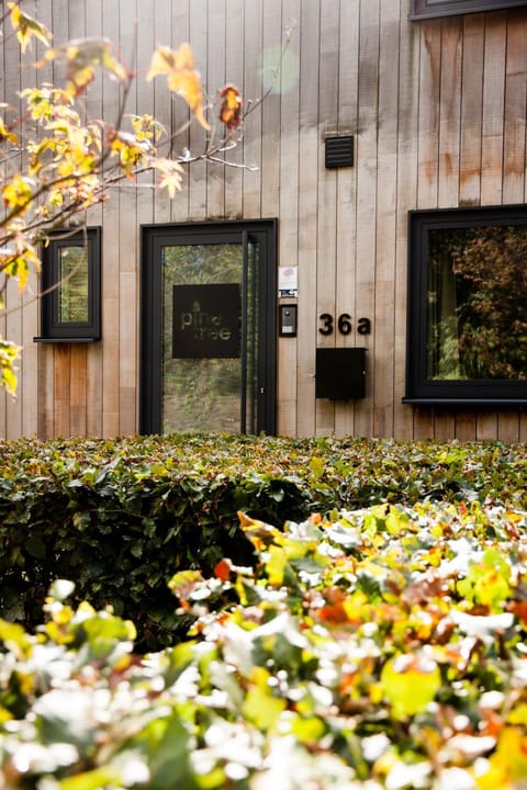 Pine Tree House in Wallonia, Belgium