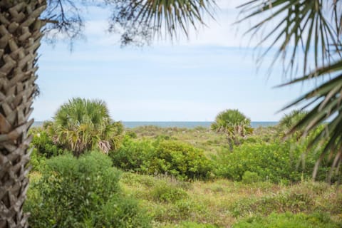 Natural landscape, Sea view