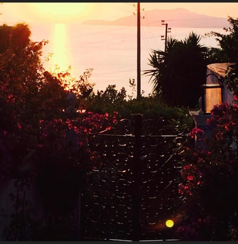 CASA SOFIA Bed and Breakfast in Anacapri