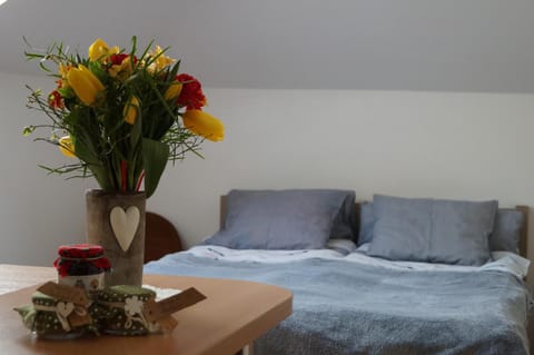 Przy Lesie Vacation rental in Pomeranian Voivodeship