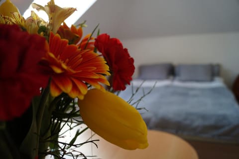 Przy Lesie Vacation rental in Pomeranian Voivodeship