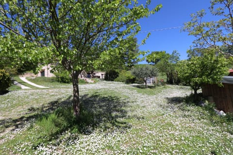 B&B Bosimano Country House in Umbria