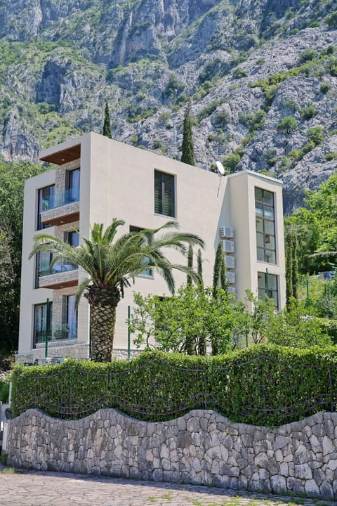 Magical View Apartment in Dobrota