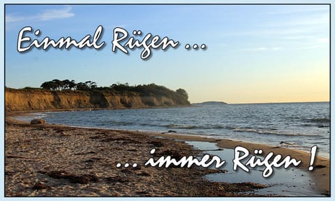 Exklusiver Bungalow direkt am Strand House in Mecklenburg-Vorpommern, Germany