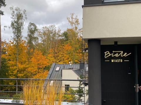 Willa Białe Miasto Apartment in Pomeranian Voivodeship