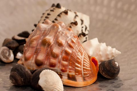 50046... House in Wittmund