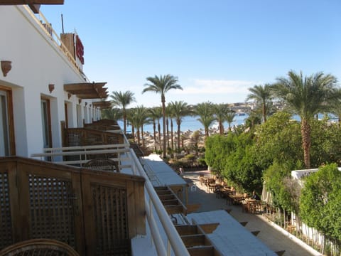 Day, Balcony/Terrace
