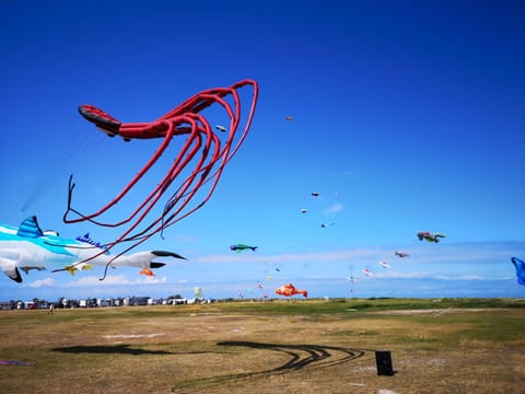 Off site, Natural landscape, Activities, Beach