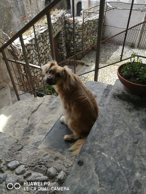 Bed and Breakfast Zanaglio Bed and Breakfast in Province of Brescia