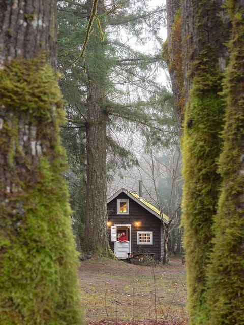 Property building, Natural landscape