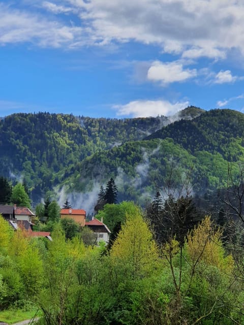 Garden, Garden, Mountain view