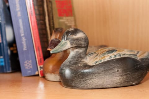 50134... Apartment in Wangerland