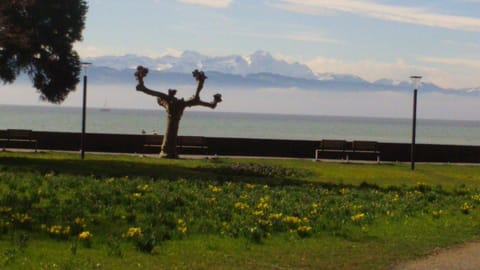 Auszeit am See Apartment in Langenargen
