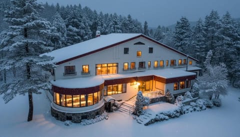 Property building, Natural landscape, Winter