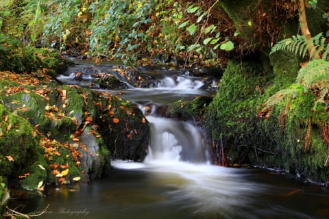Natural landscape, River view